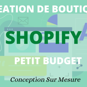 Mise En Place D'une Boutique Shopify à Petit Budget